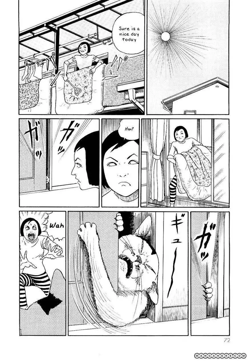 Ito Junji's Cat Diary Chapter 7 4